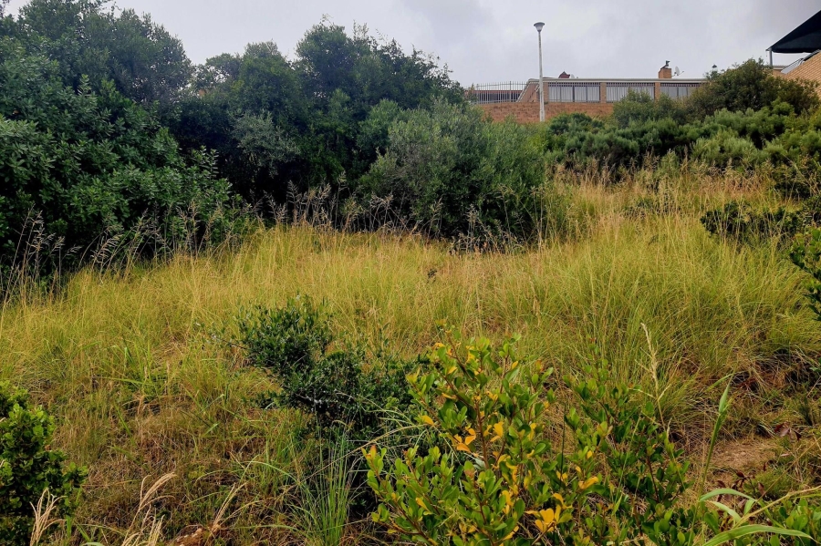 0 Bedroom Property for Sale in Menkenkop Western Cape